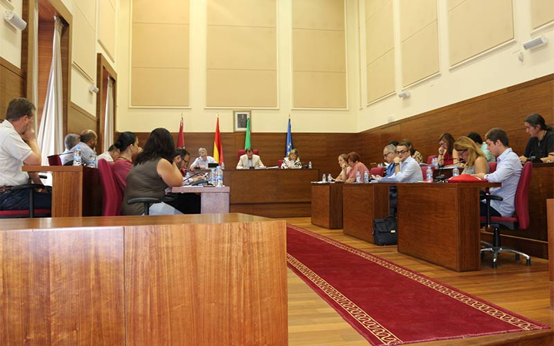Sale adelante el primer levantamiento de suspensiones del PGOU que permite que pueda avanzar la ordenanza de regularización