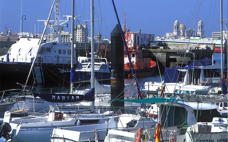 Atraques gratuitos en Puerto América, con el Tricentenario como pretexto