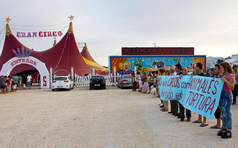 El Ayuntamiento hace efectiva ya la prohibición en San Fernando de circos que explotan animales