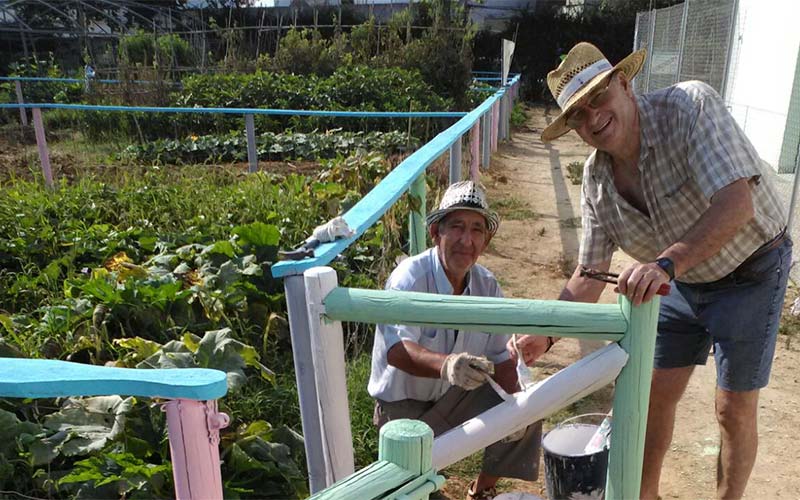 Mejoras en los huertos de ocio de Huerta del Rosario