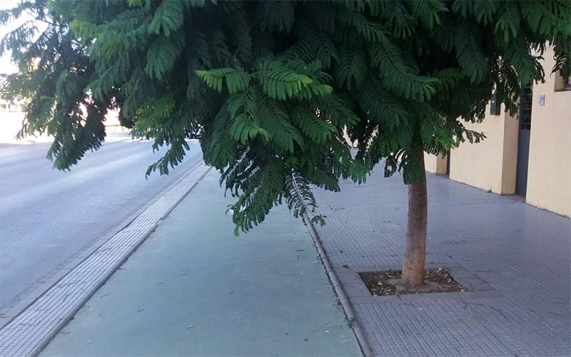 El PP opina que los carriles bici de Rota “nunca antes han estado tan abandonados”