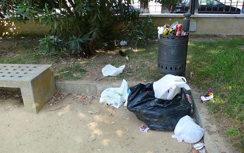 Romaní (PP) juzga que “Cádiz tiene un problema serio con el estado de sus plazas y jardines, y el Gobierno local ha arrojado la toalla”