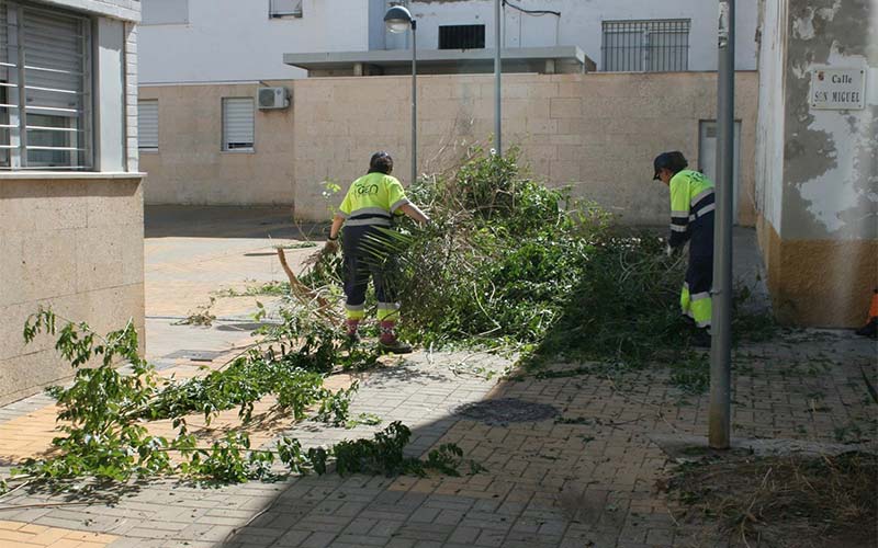 Merello considera que en jardines “hemos pasado de un desastre total” a actuaciones “planificadas” con “insuficientes” recursos