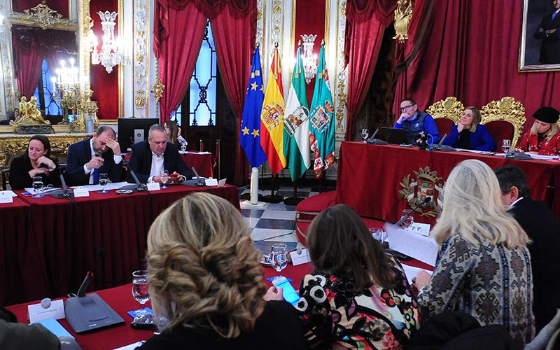 PSOE y PA aprueban en solitario su presupuesto de la Diputación de Cádiz para 2018 que “responde a exigencias sociales y económicas”