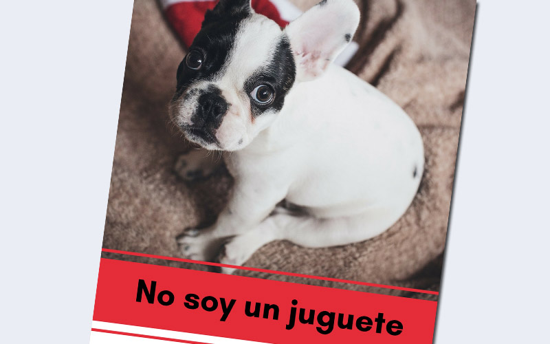 Los veterinarios inciden en que las mascotas “son seres vivos que no pueden ser tratados como objetos para envolver en papel de regalo”