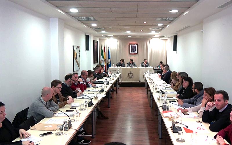 Cs y la edil no adscrita permiten al bipartito isleño sacar adelante sus ordenanzas fiscales para 2018, incluyendo la congelación del IBI