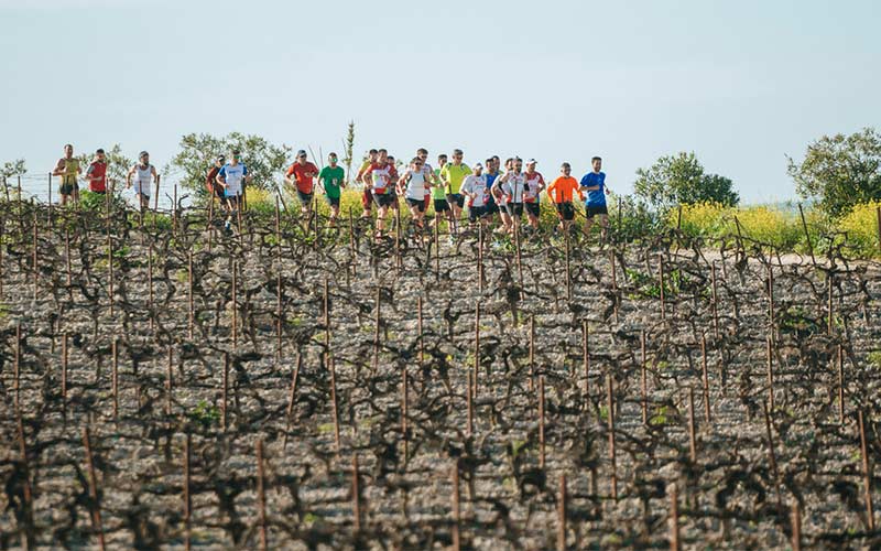 El II Sherry Maratón, a finales de abril