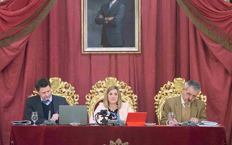 Todos los partidos en la Diputación de Cádiz, salvo el PP, apoyan la lucha de los trabajadores del aeropuerto de la Base de Rota