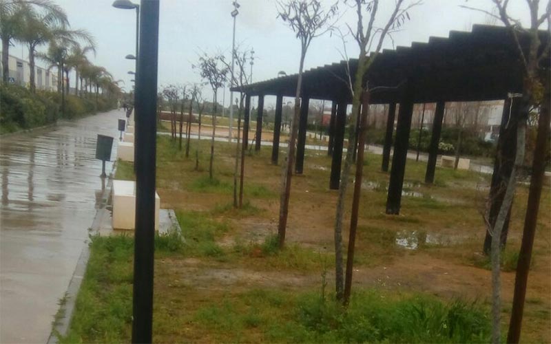 Acusan al Gobierno puertorrealeño de “condenar” al Paseo de Andalucía