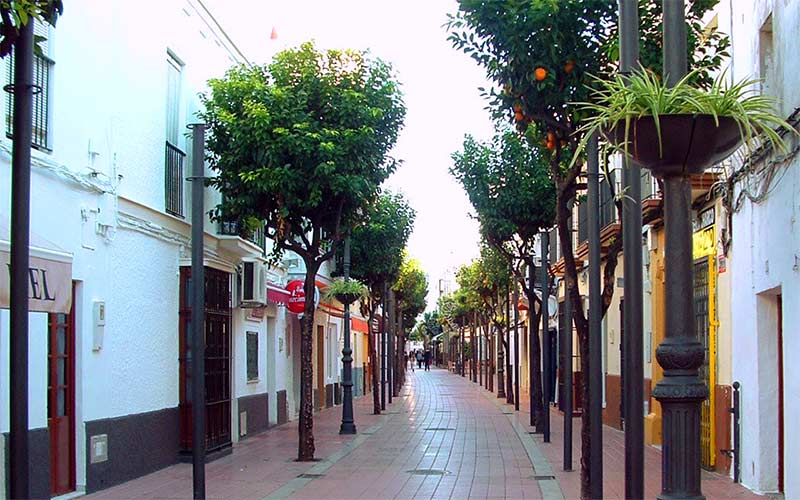 Rechazan la retirada de los naranjos en la calle Charco