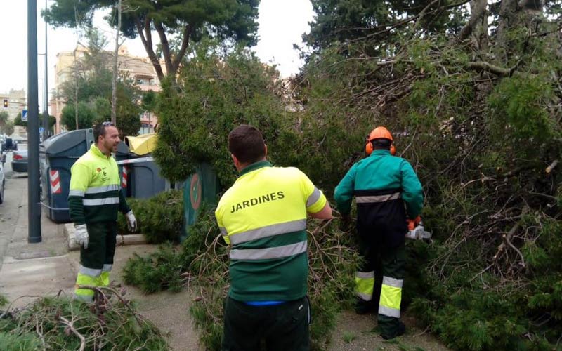 Recolte se hará en San Fernando con el ampliado contrato de parques y jardines