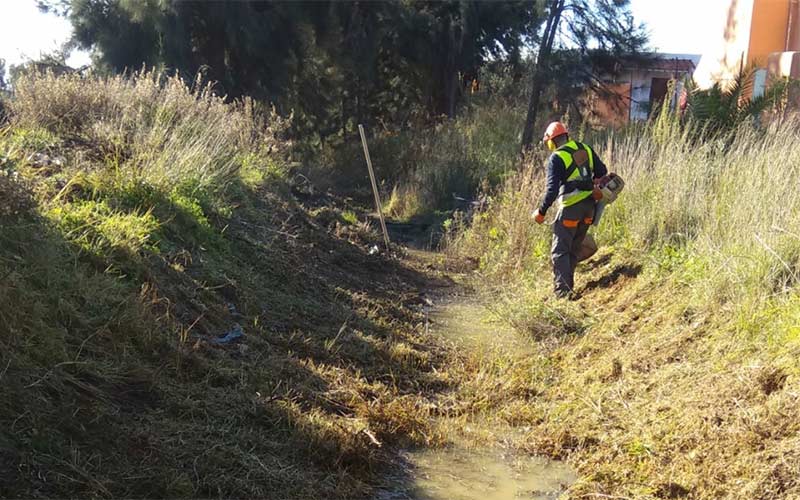 Chiclana ha registrado en lo que va de año casi el doble de lluvias que en todo el pasado 2017, y “sin incidencias destacables”