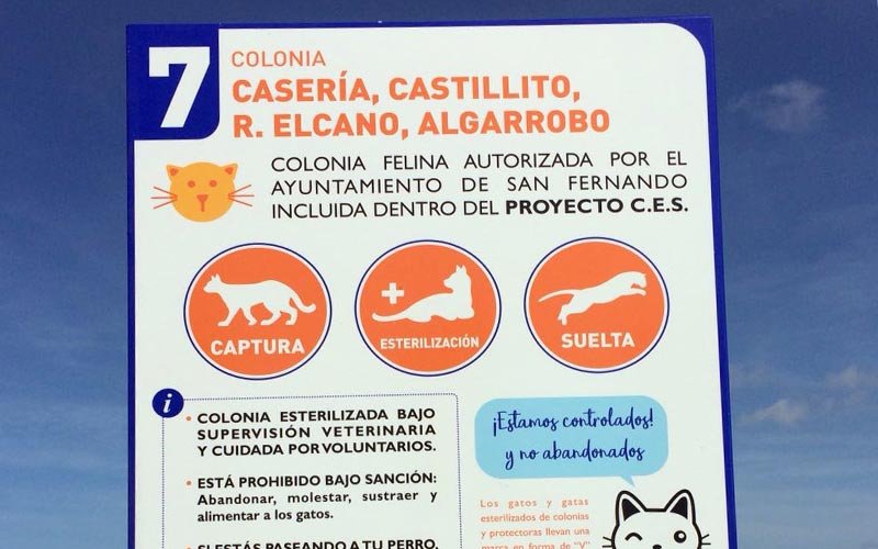 Ayuntamiento y voluntariado activan una campaña de control de las colonias de gatos en La Isla que se prolongará durante ocho meses