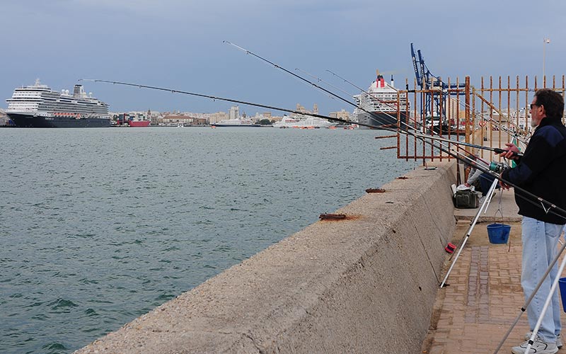 El Queen Mary 2 coincide en la misma jornada en Cádiz con otros cuatro cruceros, con más de 8.000 personas a bordo