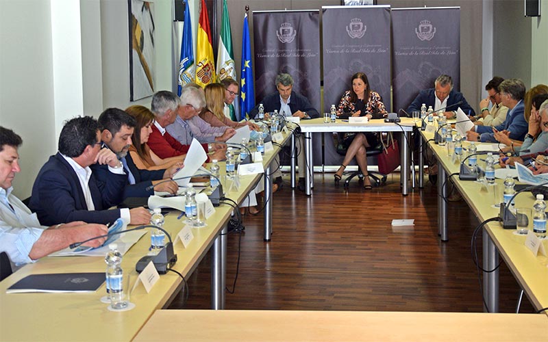 El Consejo Económico y Social conoce los “avances” de la EDUSI que “transformará” la zona este de San Fernando