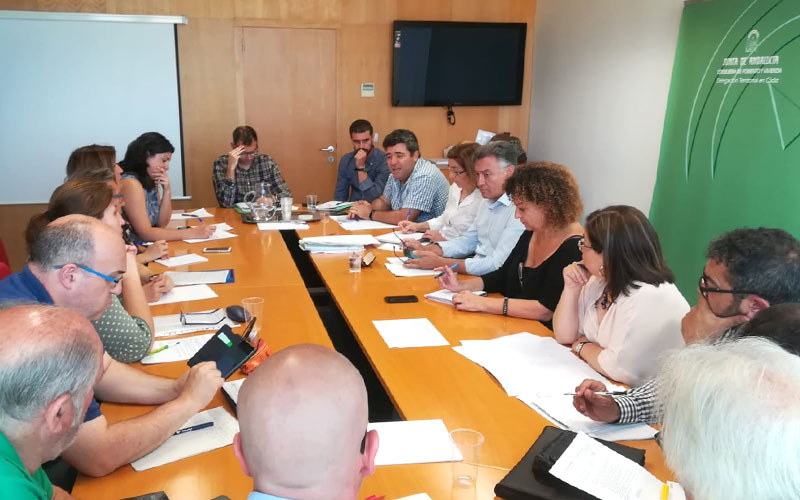 Junta, Ayuntamiento y agentes sociales repasan los “avances” en materia de vivienda en la capital gaditana