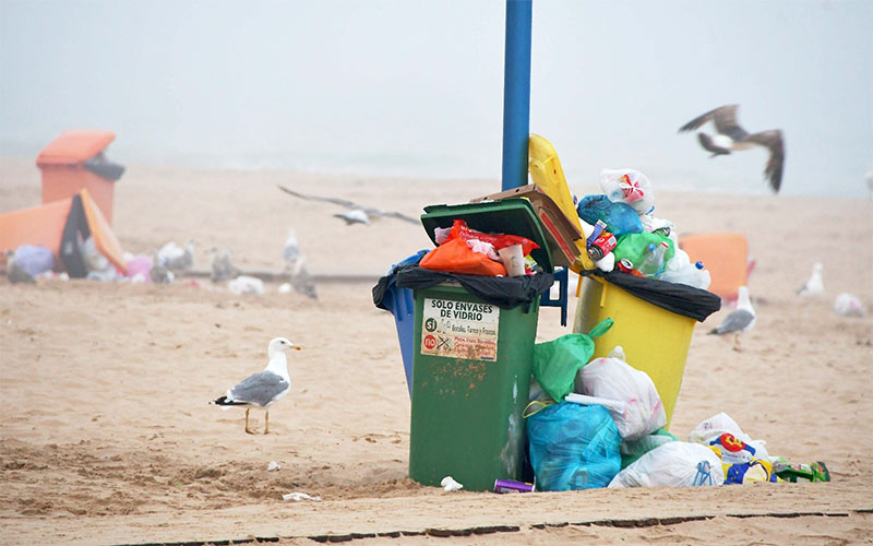 PP y Cs coinciden en hablar de “deficiente” estado de las playas de Cádiz en plena temporada turística y cuestionan la remunicipalización
