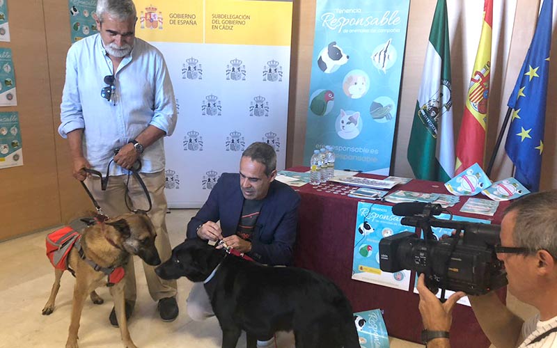 Instan a los gaditanos a “reflexionar” antes de comprar una mascota