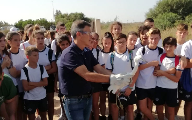 Liberadas en el Parque Natural Bahía de Cádiz ocho aves recuperadas en el CREA; un acto para “crear cantera medioambiental”