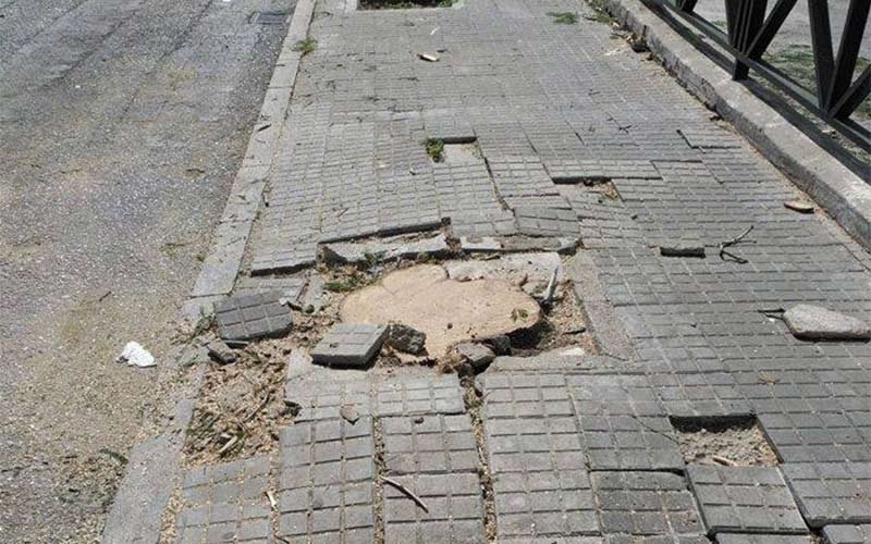Otro “arboricidio”, ahora en la zona de Princi Jerez