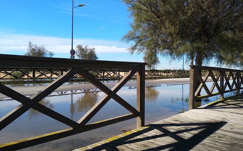 “La naturaleza busca en Sancti Petri lo que la administración le quita en beneficio de empresas privadas”