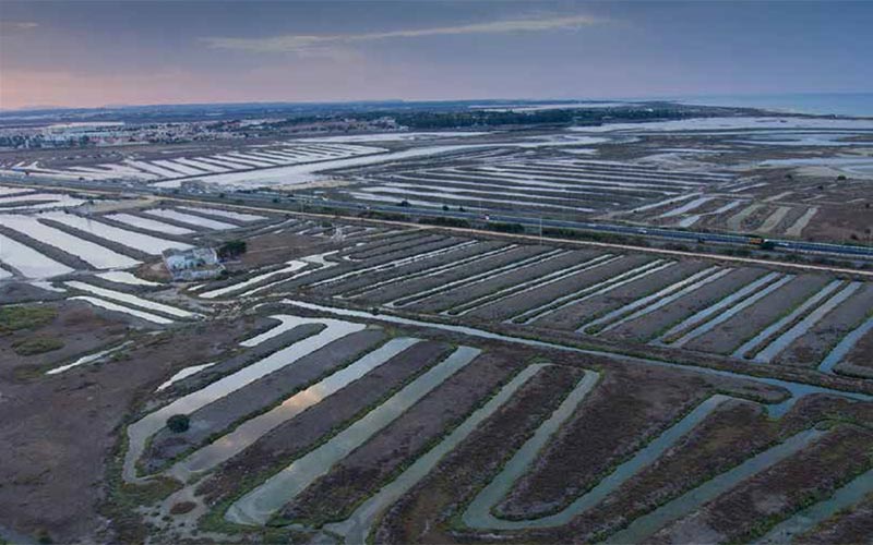 La Bahía desconocida para la Bahía: ¿tú sabes qué es un estero?
