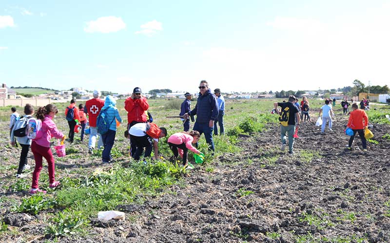 El parque de la Laguna de la Rana Verde sumará 400 árboles plantados por 400 jóvenes chiclaneros