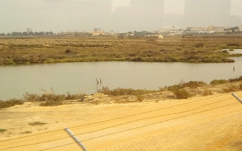 La Isla traza en su zona oeste un ‘Parque Natural de la Sal’