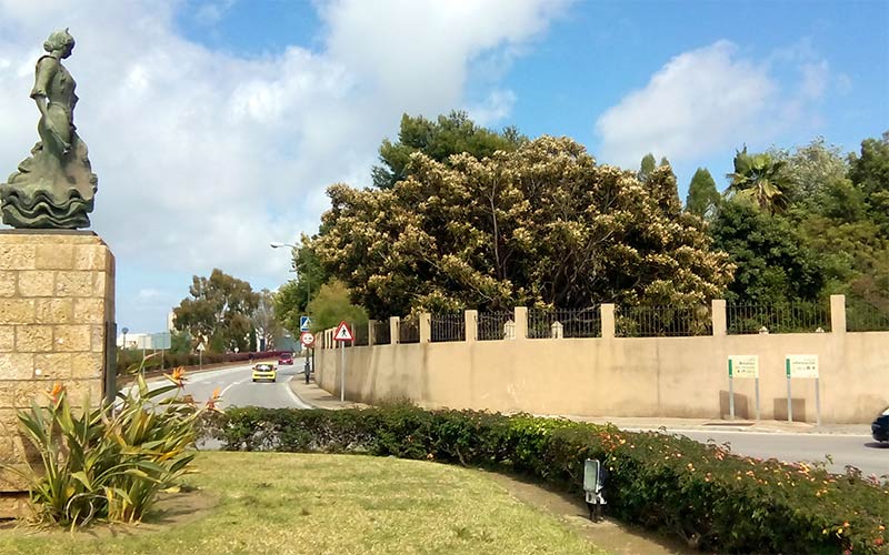 Demandan a la Junta “más visibilidad” para el Jardín Botánico