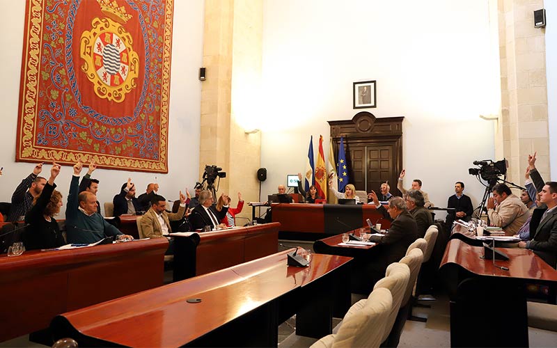 Unanimidad en el pleno jerezano alrededor de ‘avanzar’ en los proyectos ITI del Museo del Flamenco y el Centro del Motor