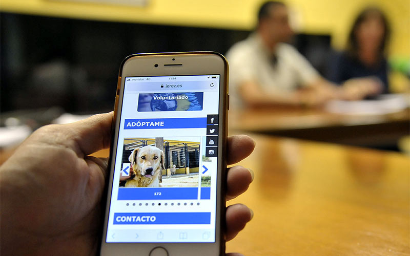 Promoviendo la adopción y tenencia responsable de mascotas