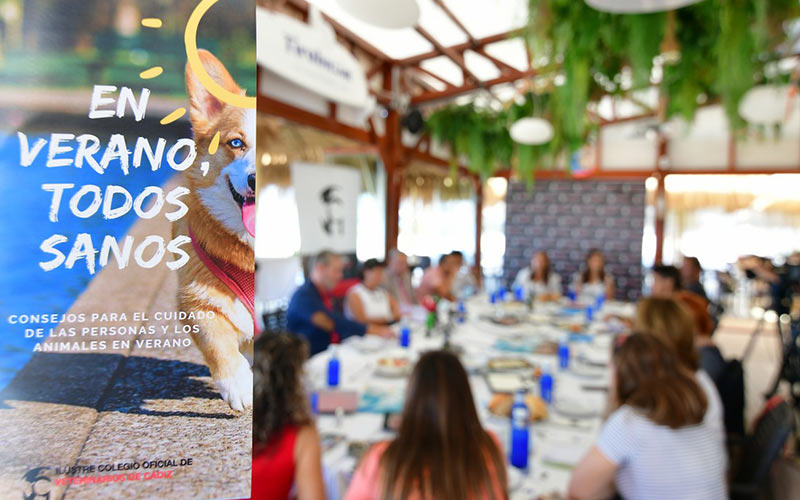 ‘En verano, todos sanos’: el Colegio de Veterinarios de Cádiz se preocupa, con una campaña, de lo que comes y de tus mascotas