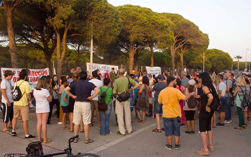 Diferentes colectivos se conjuran para “seguir luchando para salvar el pinar de Costa Sancti Petri, ya lo conseguimos con el pinar de Hierro”