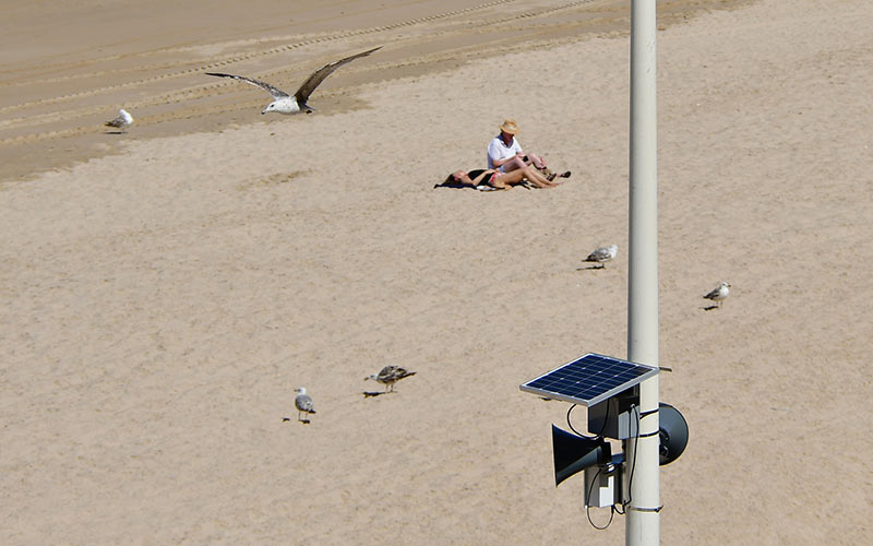 La música vuelve a ‘acompañar’ las puestas de sol playeras en Cádiz
