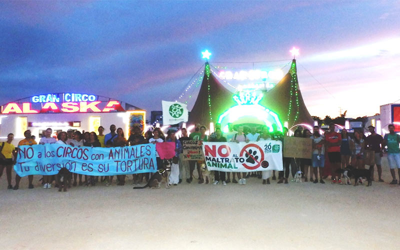 Vuelven a Chiclana el Circo Alaska (con animales) y las protestas