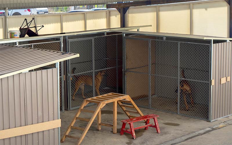 Los perros ‘policía’ de La Isla tendrán instalaciones dignas