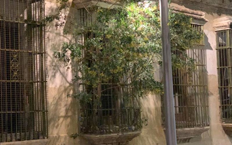 El PP insta a que se le busque un uso a la antigua sede de la Cruz Roja, una finca municipal en plena calle Real camino de declararse en ruina