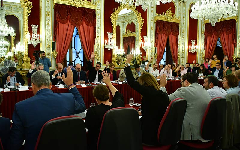 La Diputación se adhiere a la declaración de “emergencia climática”