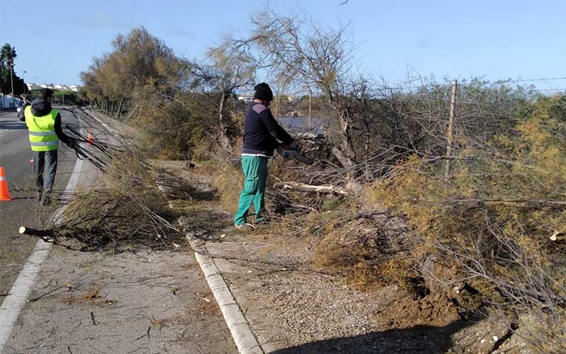 En obras ya el tercer carril de acceso al poblado de Sancti Petri