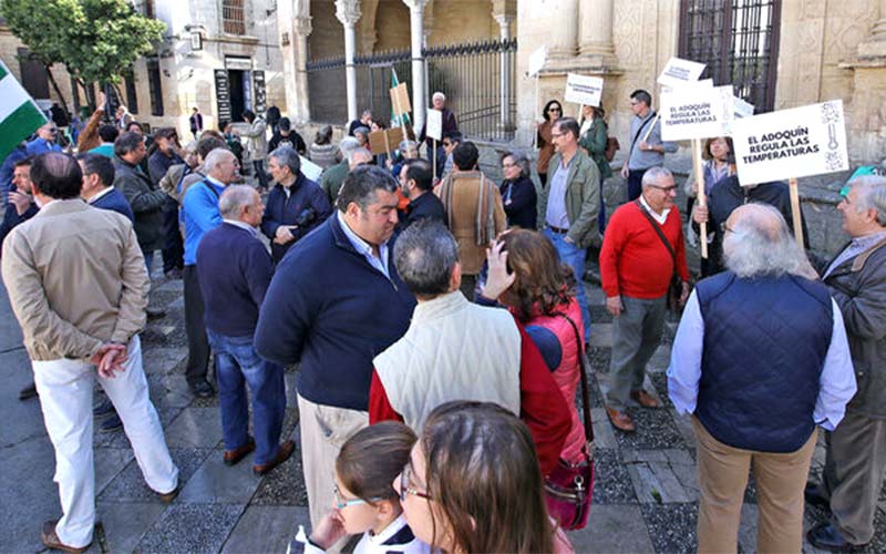 Plantean que el Ayuntamiento someta a consulta popular “el mantenimiento del adoquín” en las calles del centro histórico de Jerez