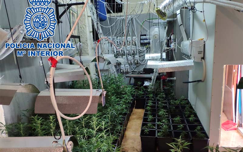 La denuncia de un vecino permite desmantelar una plantación interior de marihuana en un bar del centro portuense