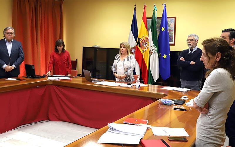 La alcaldesa de Jerez rinde cuentas de su gestión de la crisis y avanza que la “reactivación económica” se trabajará en comisiones sectoriales