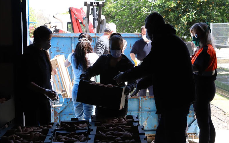 Una centralita municipal atendida por un equipo de 26 personas ayuda a los jerezanos a tramitar el nuevo Ingreso Mínimo Vital