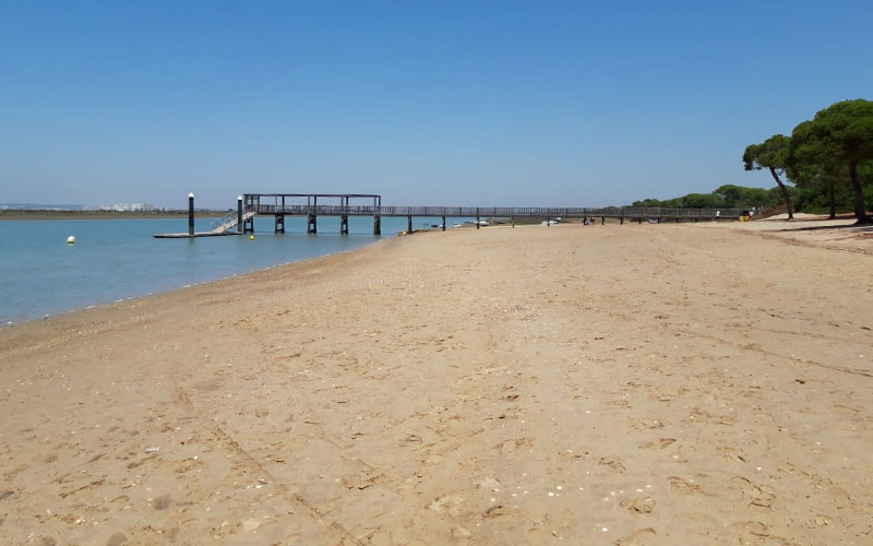 Vecinos del Río piden a las “inoperantes” administraciones que “se depuren responsabilidades” por las bacterias fecales en su playa
