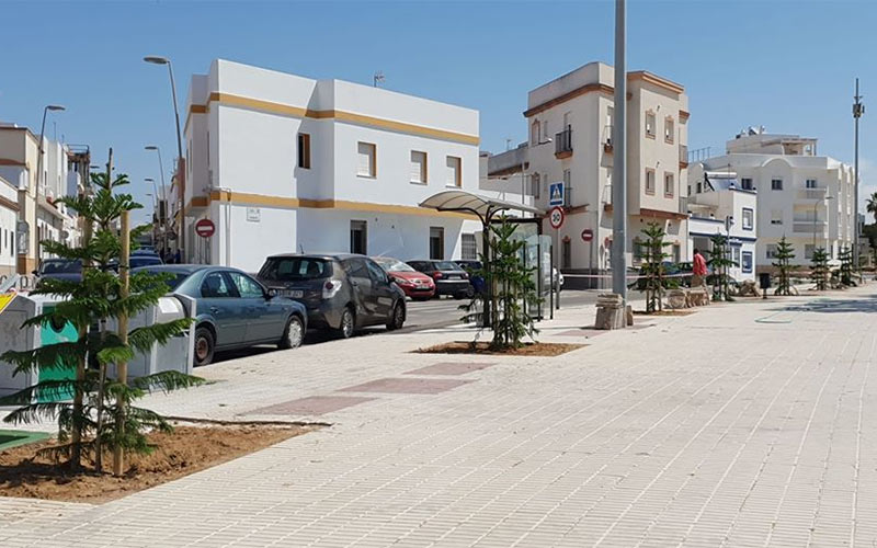 Culminada una “ambiciosa” campaña de plantación de cerca de 200 ejemplares en distintas zonas de Rota