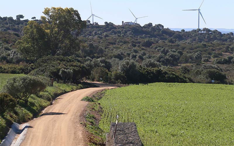 En marcha la segunda fase de la Puerta Verde de Chiclana