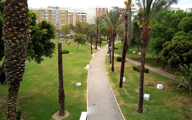 Urgen a que se fumiguen en San Fernando zonas húmedas y los parques y espacios verdes “para prevenir casos del virus del Nilo”