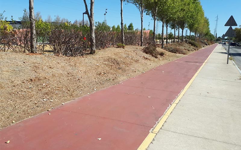 Equo acusa al concejal de Medio Ambiente de “dejación de funciones”, ante el “abandono” de los setos de la zona del soterramiento