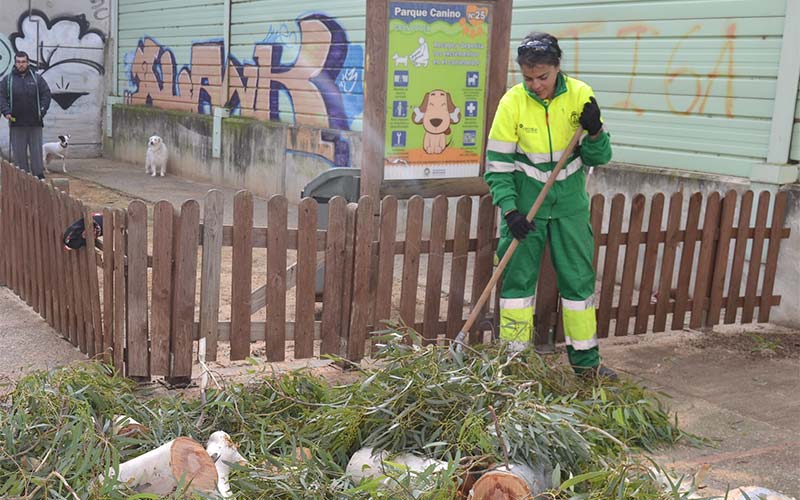 El Consistorio isleño fiscalizará con una auditoría externa la ejecución del contrato de parques y jardines al cumplirse dos años con Urbaser