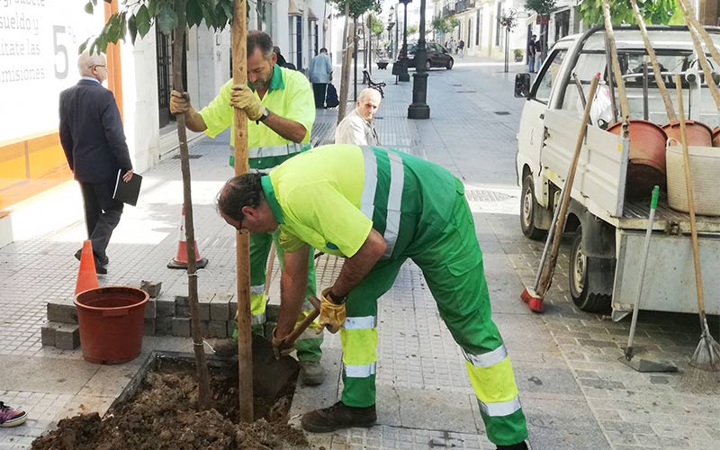 El Plan de Arbolado anual de la Diputación distribuirá más de 6.000 ejemplares por todo Cádiz, apostando por “ciudades saludables”